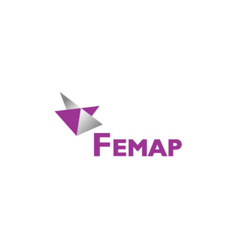 femap logo