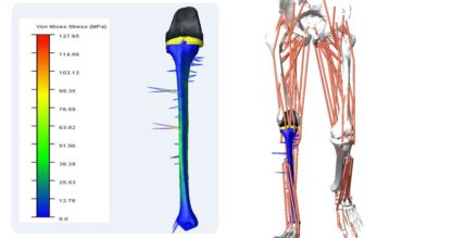 Simulation-driven engineering in action: Real-world examples across industries